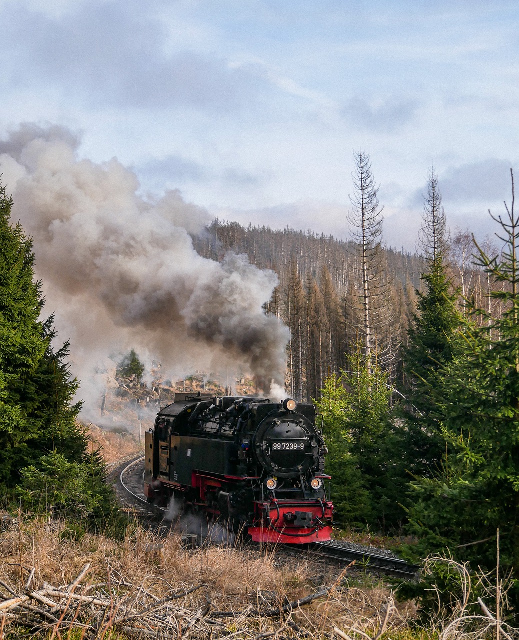 Aartalbahn Taunusstein